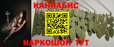 ешки Новодвинск