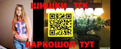 ешки Новодвинск