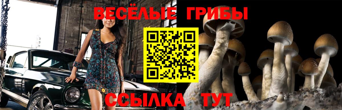 Псилоцибиновые грибы Psilocybine cubensis  Псилоцибиновые грибы Magic Shrooms  Вход с VPN  Сочи 